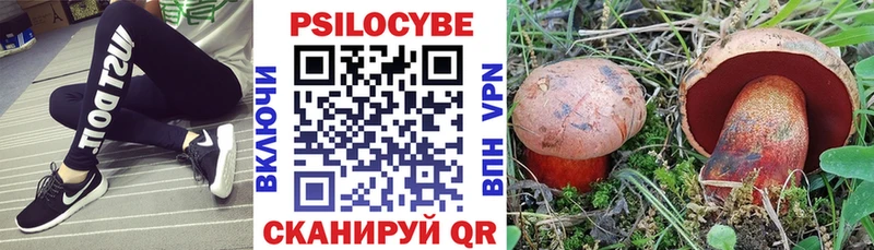 Псилоцибиновые грибы прущие грибы  Ржев 